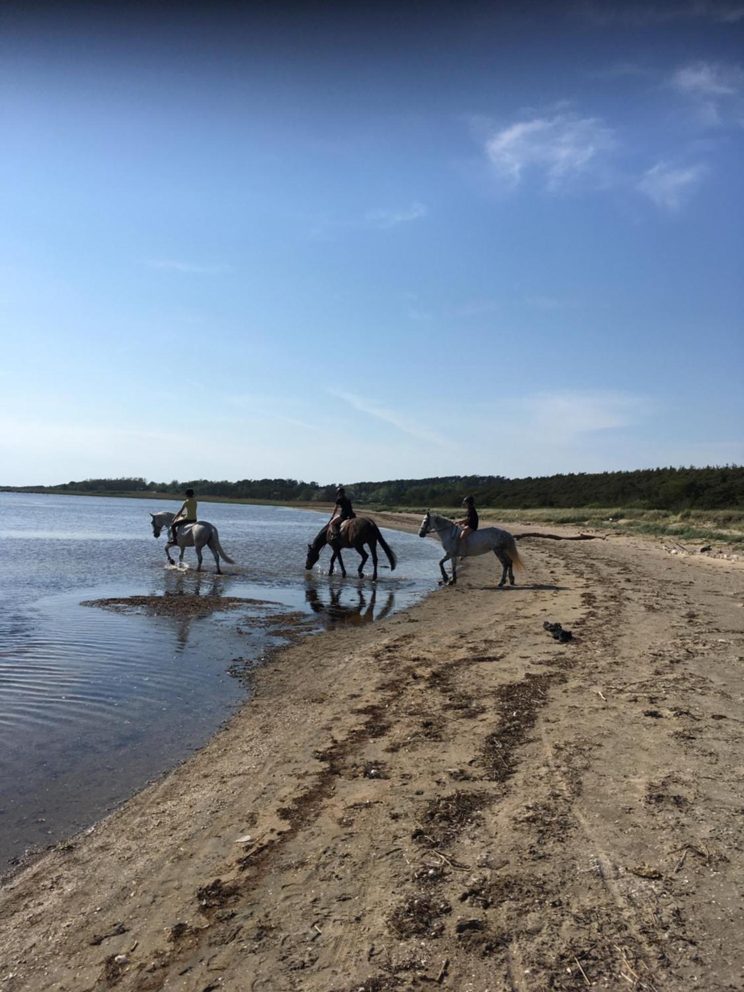 Brogard Bed & Breakfast Falkenberg Eksteriør bilde